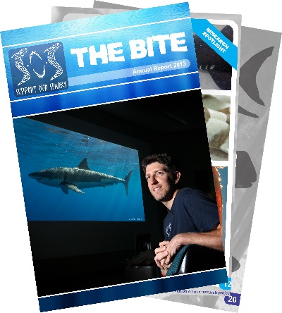 Support Our Sharks Annual Report 2013