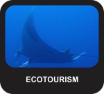 Position Statement - Ecotourism