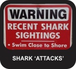 Position Statement - Shark 'Attacks'