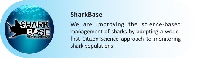 SharkBase