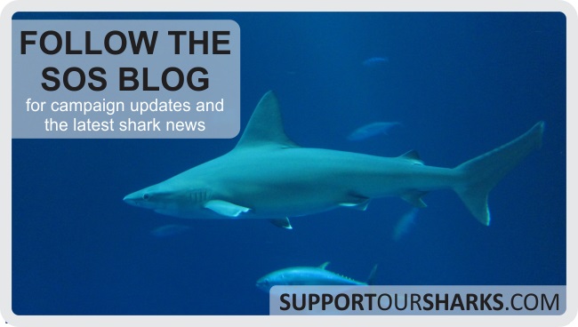 Follow the Support Our Sharks blog
