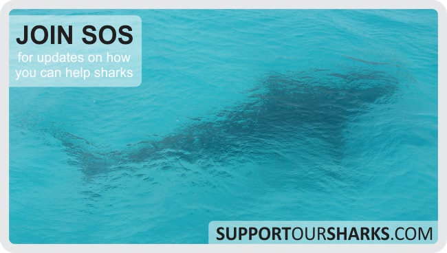 Join Support Our Sharks