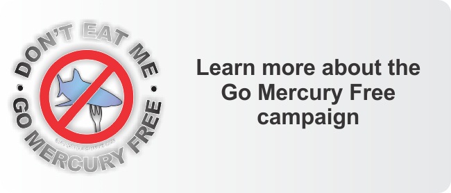 About the Go Mercury Free campaign