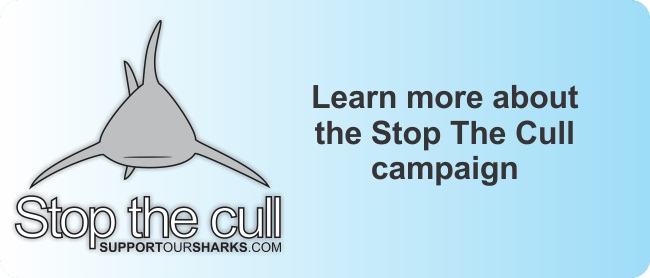 About the Stop The Cull campaign