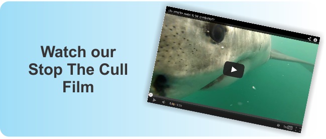 Stop The Cull Film