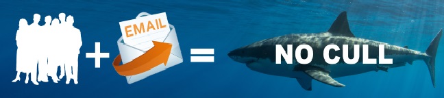 No WA Shark Cull