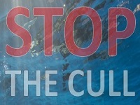 Stop The Cull
