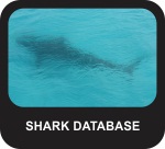 Shark Database