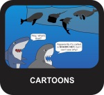 Shark Cartoons