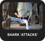 Shark 'Attacks'