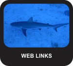 Sharky Web Links