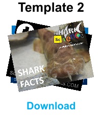 Shark Presentation Template 2