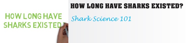 How long have sharks existed?