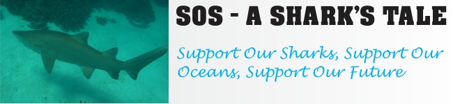 SOS-A Shark's Tale