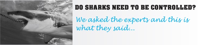 Do Sharks Need to be Controlled?