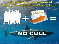 Tell Australia's Environment Minister to stop the WA shark cull