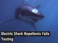 Electric Shark Repellent Fails Testing