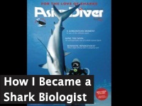 How I Become a Shark Biologist