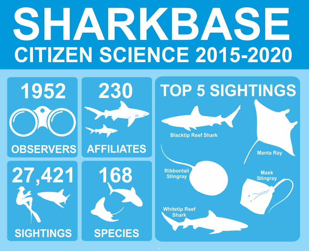 Shark Base Report Card