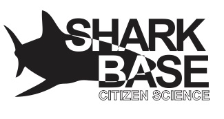 Shark Base Logo